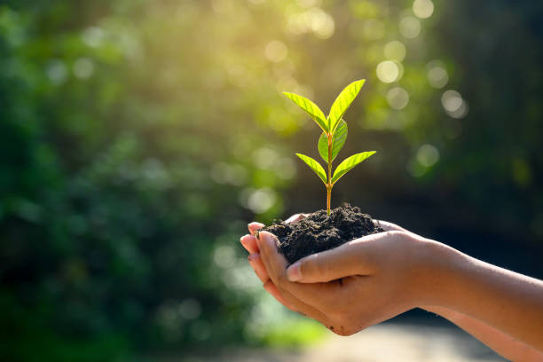 Environmental Sustainability witnesses dip in CSR funding; Do we need to relook at our national priorities?